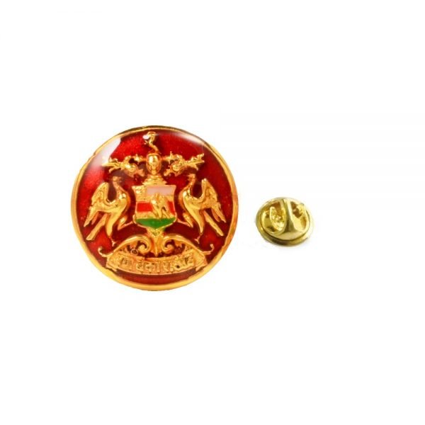 RanBanka Rathore Designer Lapel Pin in Silver and Enamel