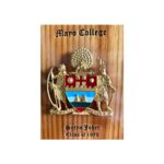 Mayo College Personalized Coat of Arms - Desk/Wall Mounted Wooden Plaque - Image 7