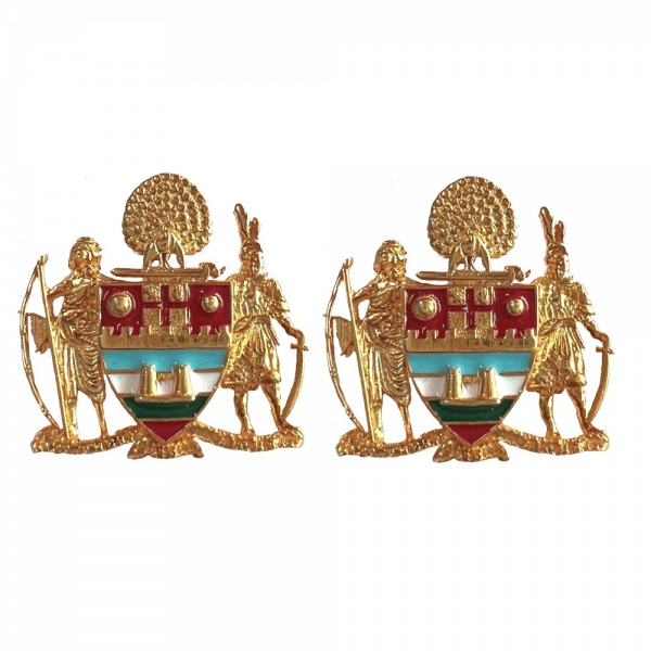 Mayo College Coat of Arms Pins - Silver and Enamel  - Gold Plated - 1 inch