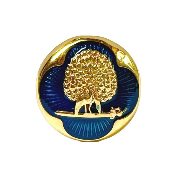 Regal Blue & Gold Mayoor Bandhgala Buttons