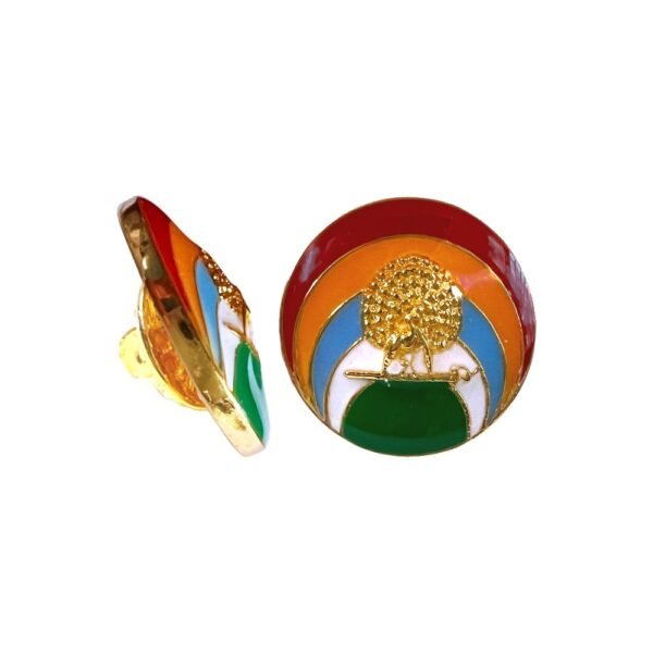 The Mayo Flag & Mayoor Lapel Pin