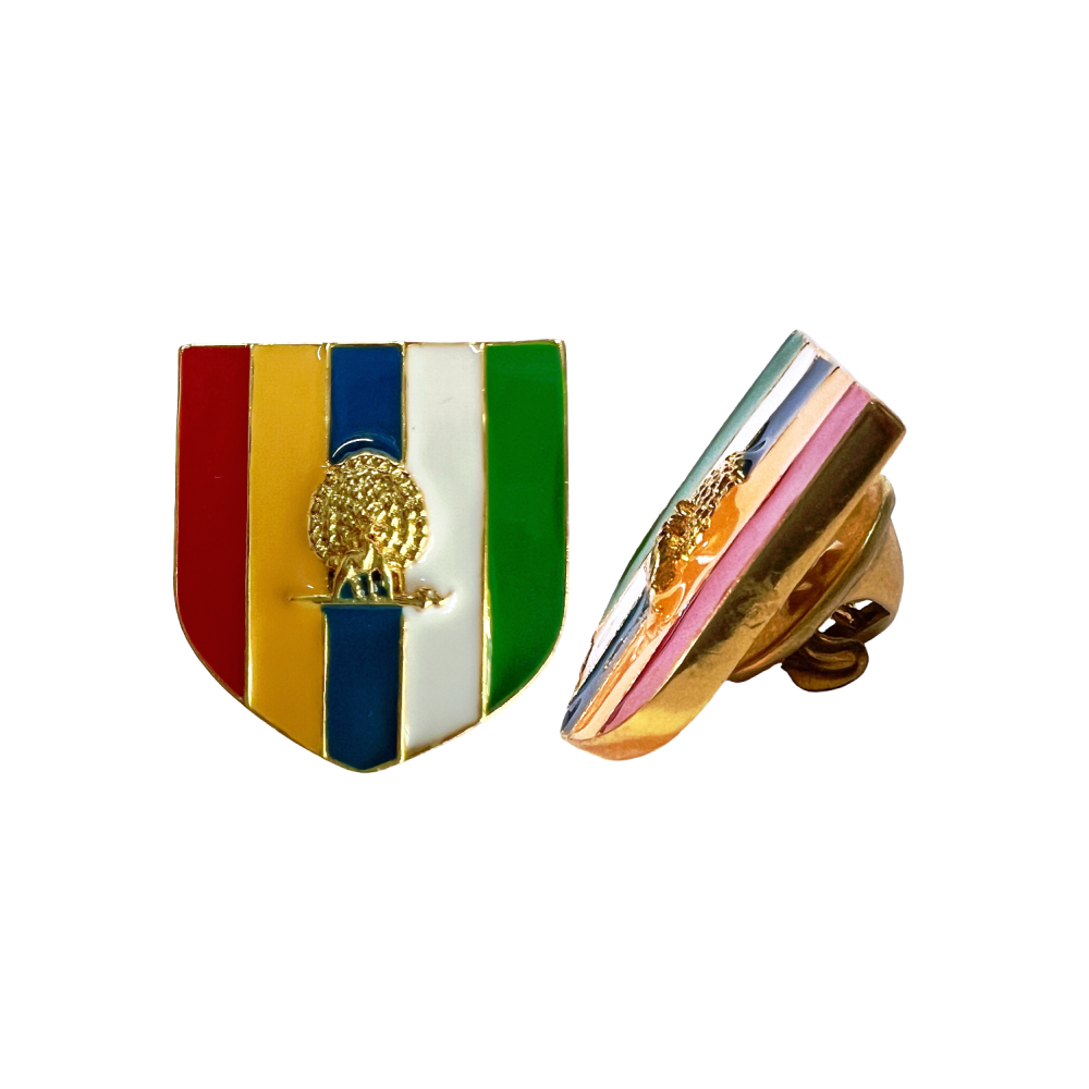 S1125LP (1) The Mayo Chapter Lapel Pin - Kanpur - Image 1